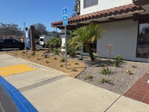 New CBT Landscaping