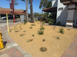 New CBT Landscaping